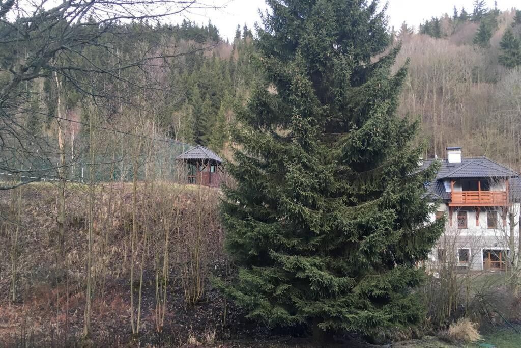 Villa Vykmanov Medenec Dış mekan fotoğraf